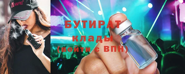 крисы Бородино
