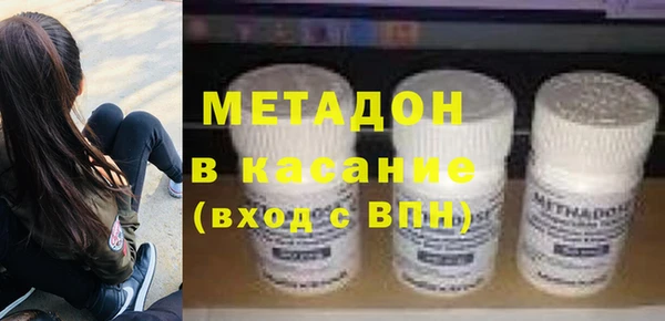 крисы Бородино