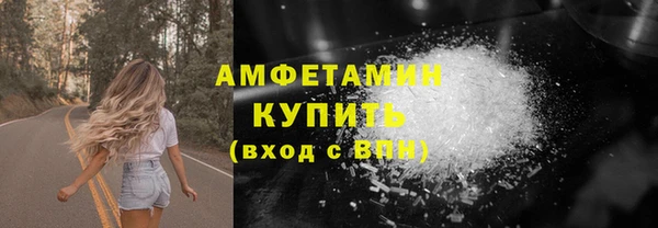 крисы Бородино
