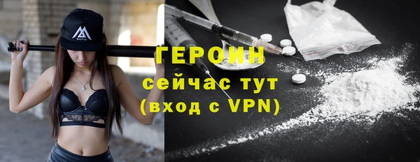 крисы Бородино
