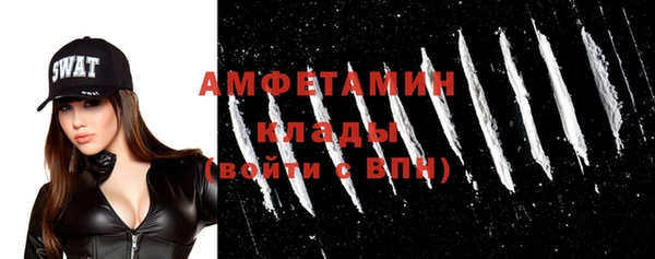 крисы Бородино