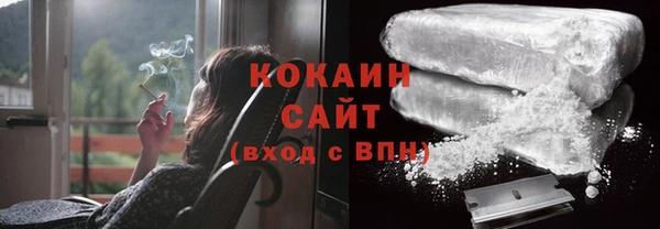 крисы Бородино