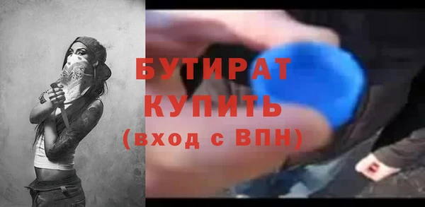 крисы Бородино