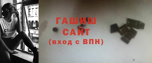 крисы Бородино