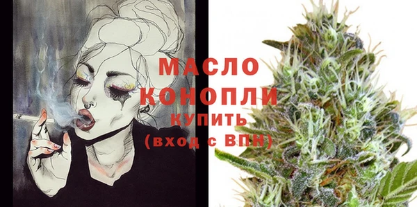 крисы Бородино