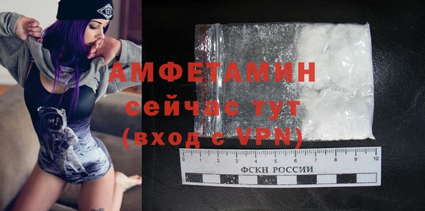 крисы Бородино