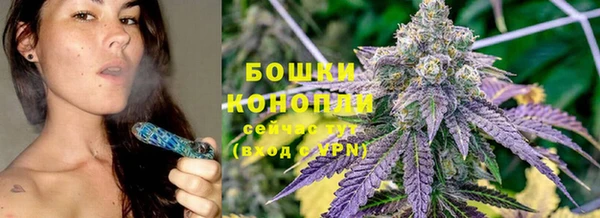 крисы Бородино