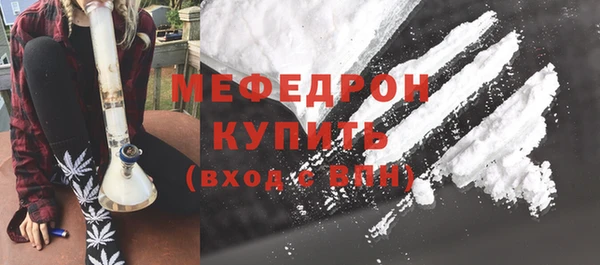 крисы Бородино