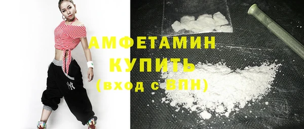 крисы Бородино