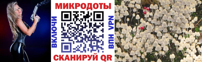 продажа наркотиков  Новое Девяткино  Псилоцибиновые грибы Cubensis 